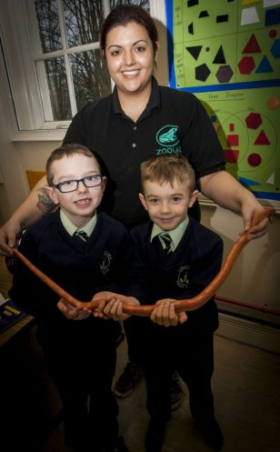 Zoolab visits Longtower Primary School